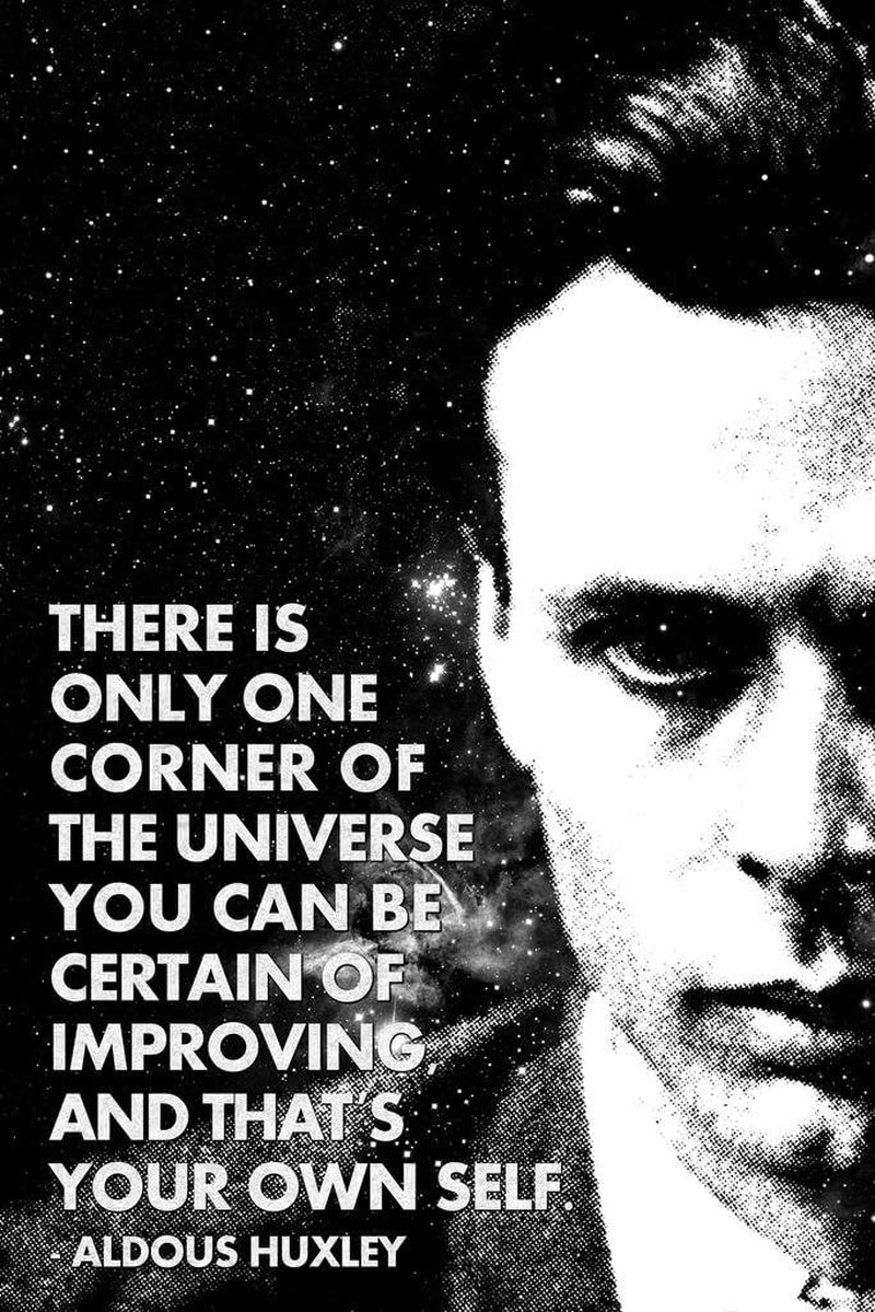 One Corner of the Universe You Can Improve Aldous Huxley Monochrome Famous Motivational Inspirational Quote Cool Huge Large Giant Poster Art 36X54