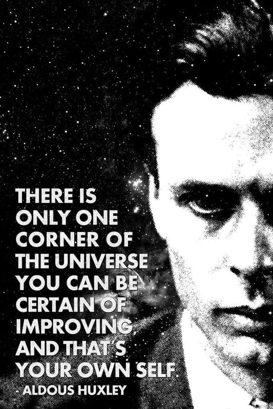 One Corner of the Universe You Can Improve Aldous Huxley Monochrome Famous Motivational Inspirational Quote Cool Huge Large Giant Poster Art 36X54